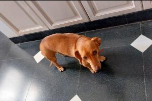 Miniatura publicación